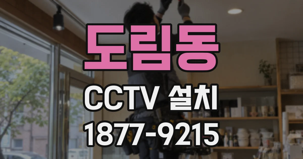 도림동 CCTV 설치