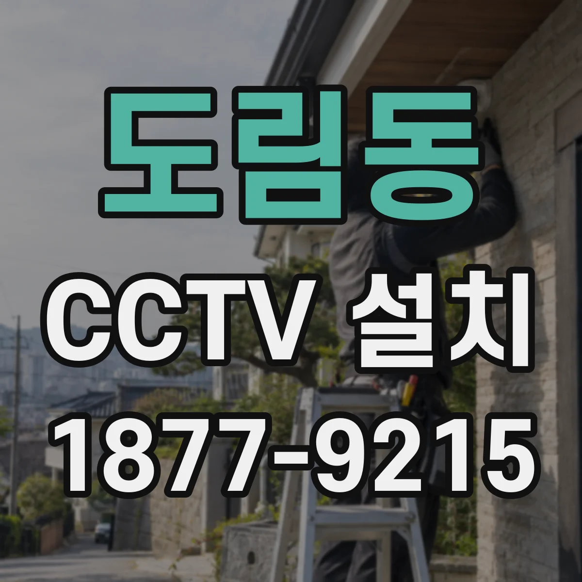 도림동 CCTV 설치