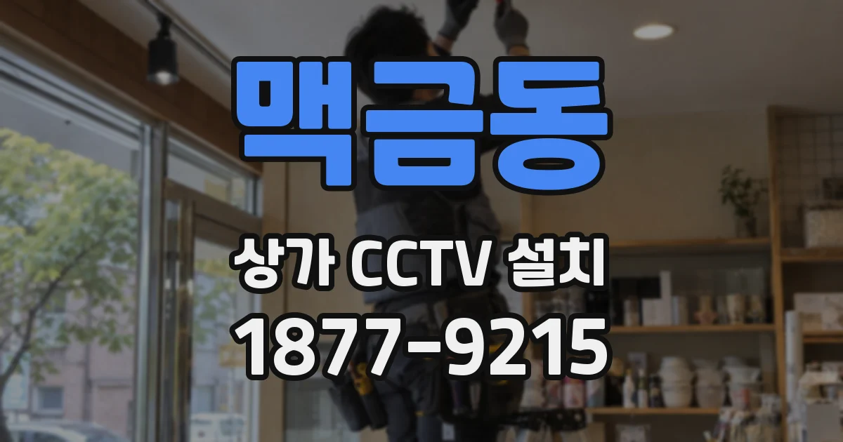 맥금동 상가 CCTV 설치