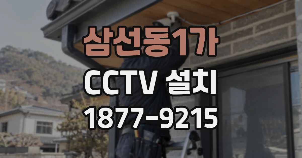 삼선동1가 CCTV 설치