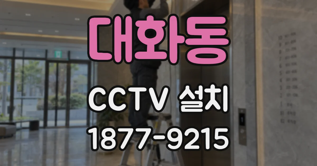 대화동 CCTV 설치