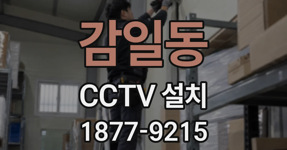 감일동 CCTV 설치