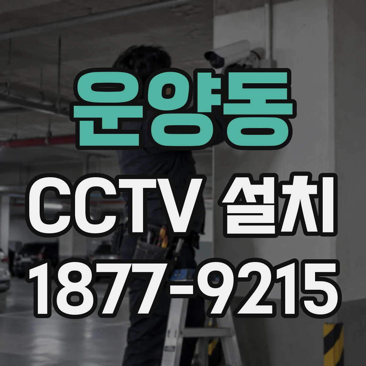 운양동 CCTV 설치