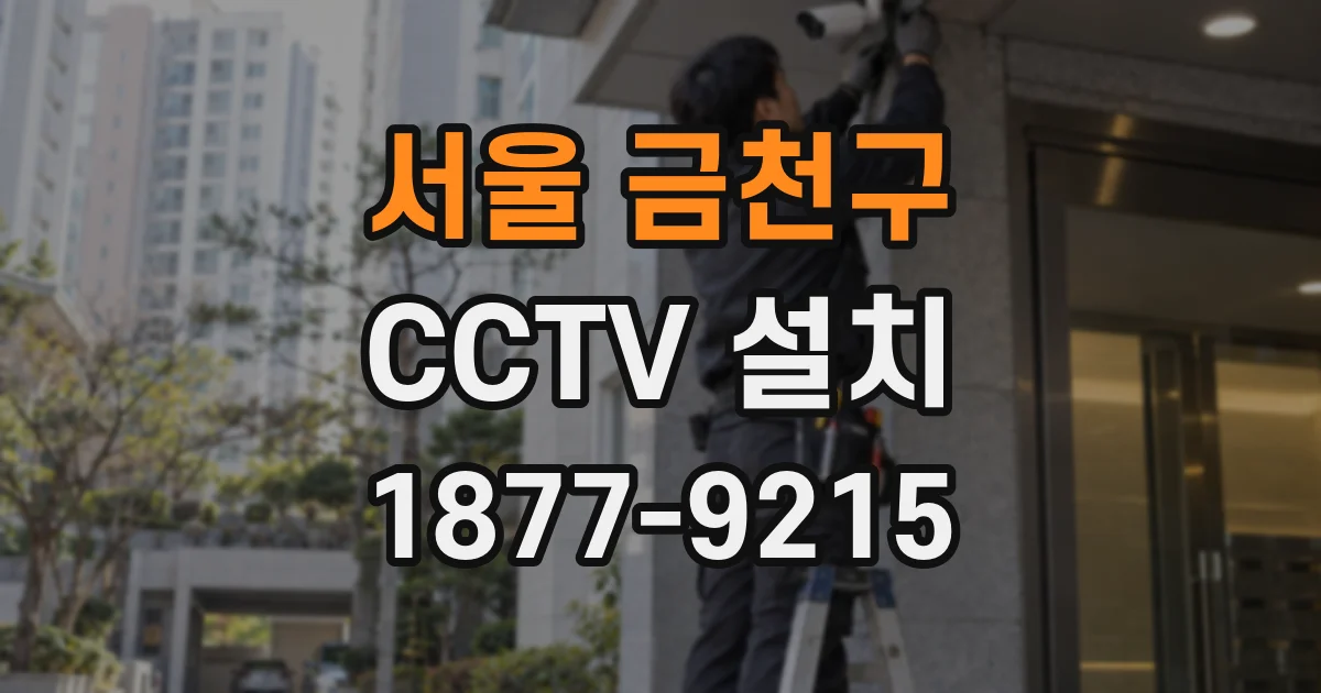 서울 금천구 CCTV 설치
