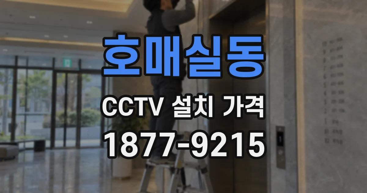 호매실동 CCTV 설치 가격