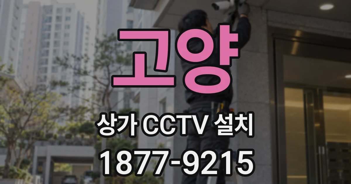 고양 상가 CCTV 설치