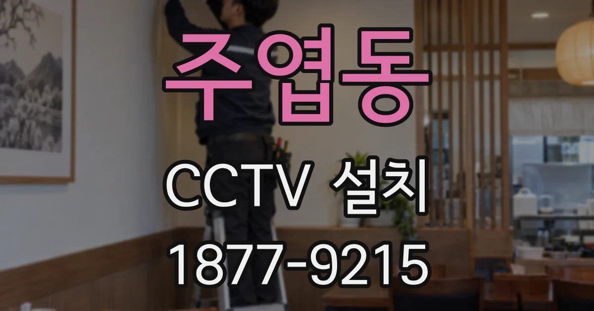 주엽동 CCTV 설치