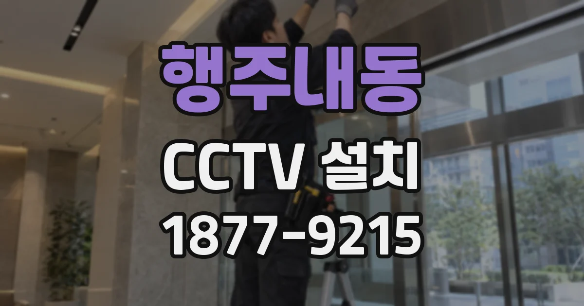 행주내동 CCTV 설치