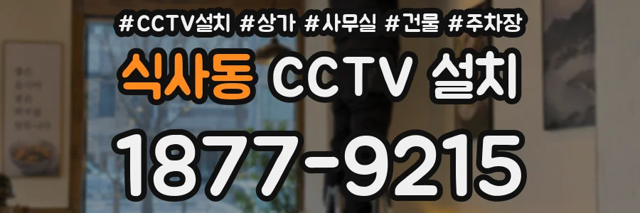 식사동 CCTV 설치