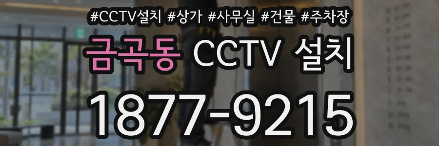 금곡동 CCTV 설치