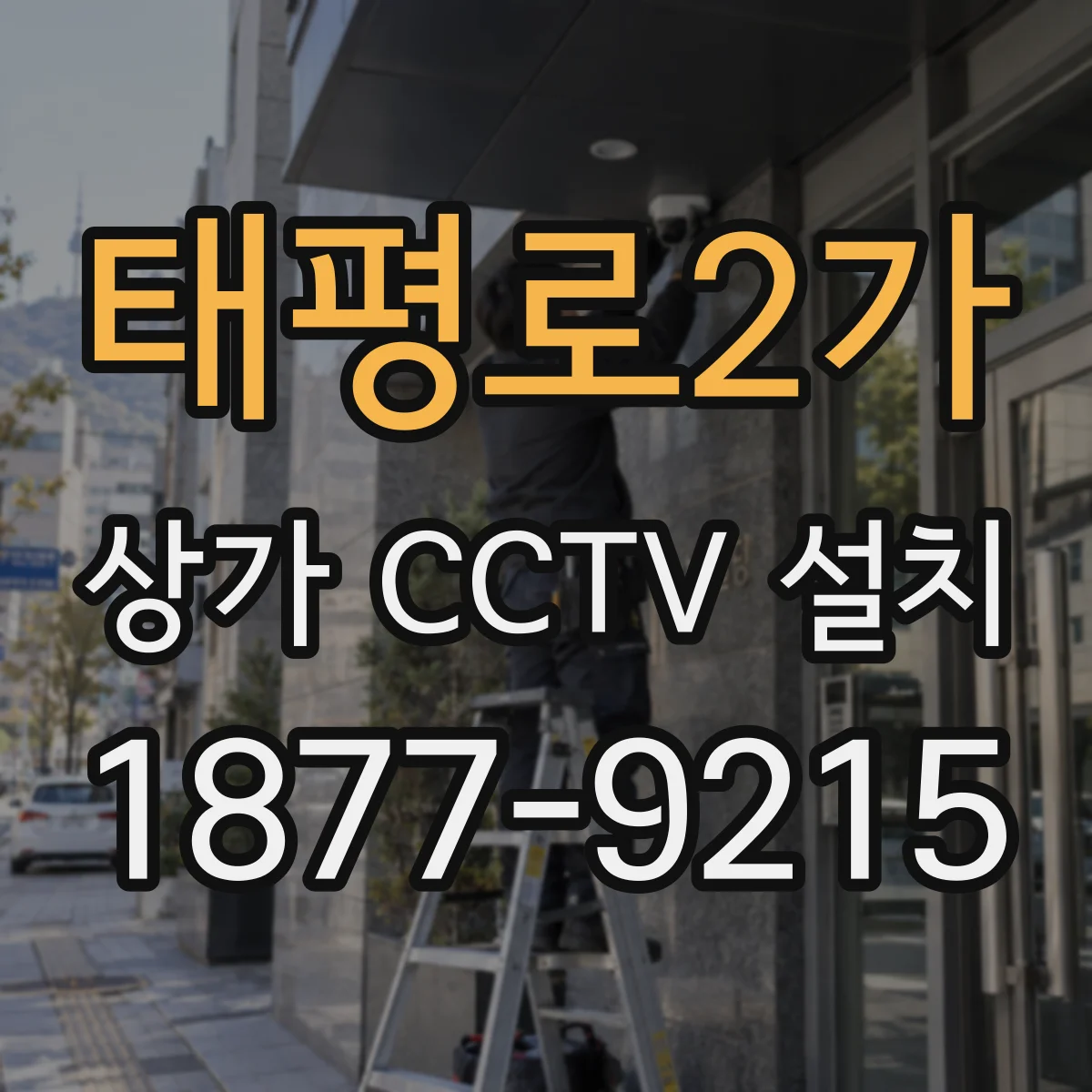 태평로2가 상가 CCTV 설치
