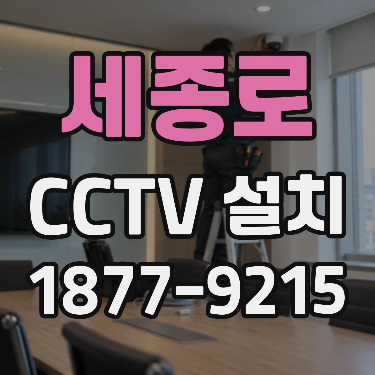 세종로 CCTV 설치
