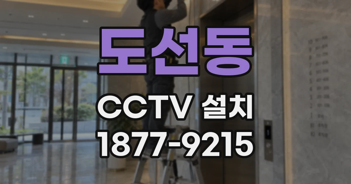 도선동 CCTV 설치