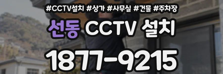 선동 CCTV 설치