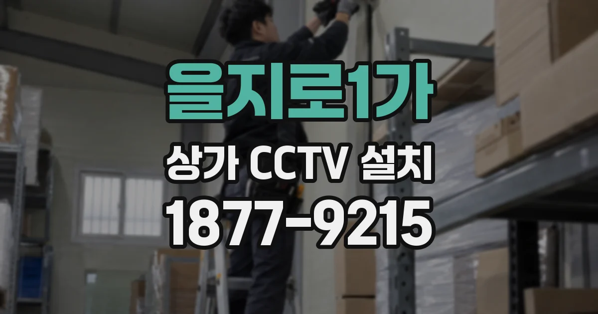 을지로1가 상가 CCTV 설치