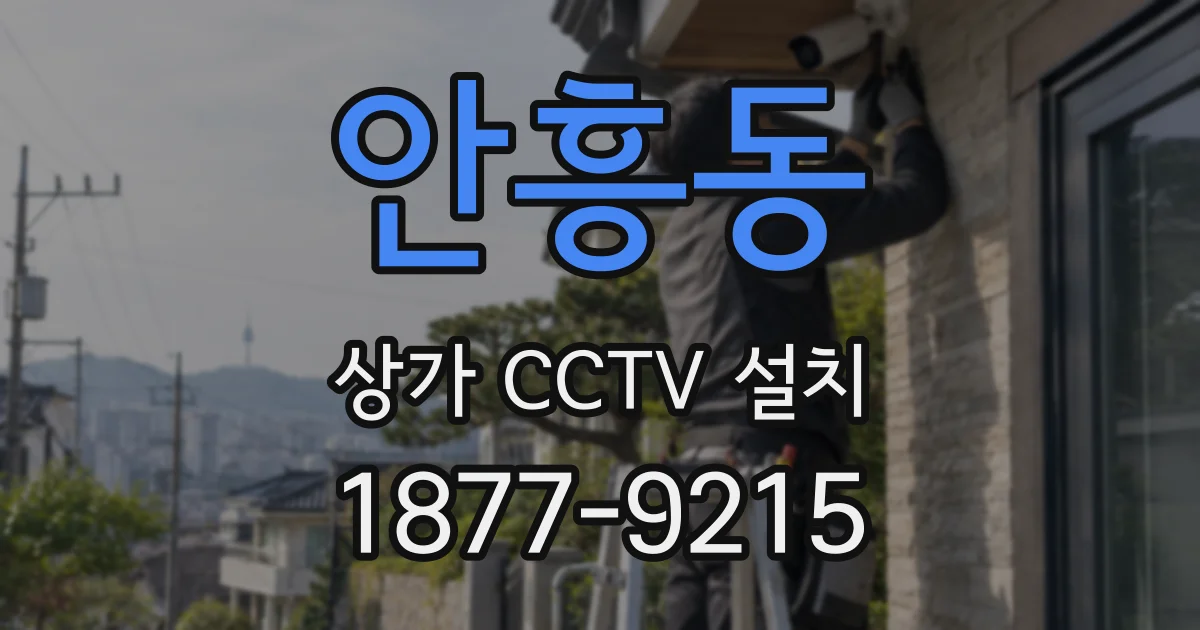 안흥동 상가 CCTV 설치