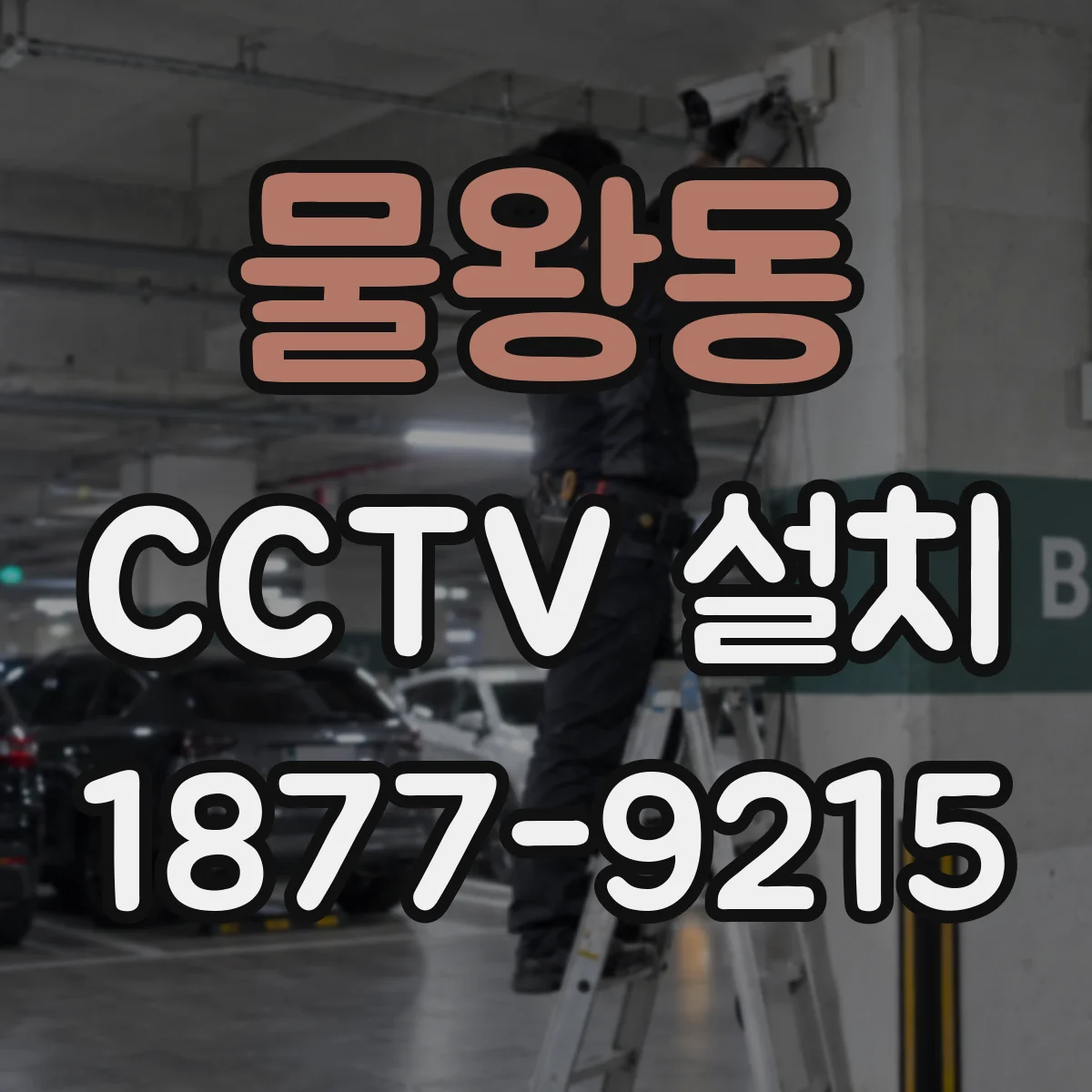 물왕동 CCTV 설치