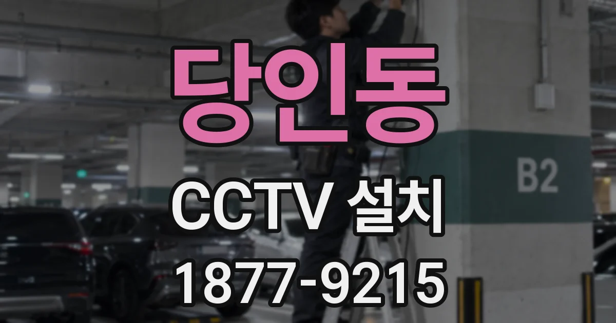 당인동 CCTV 설치