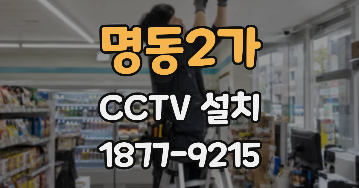 명동2가 CCTV 설치