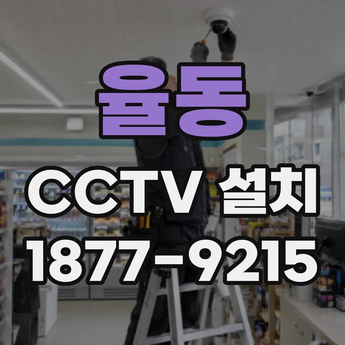 율동 CCTV 설치