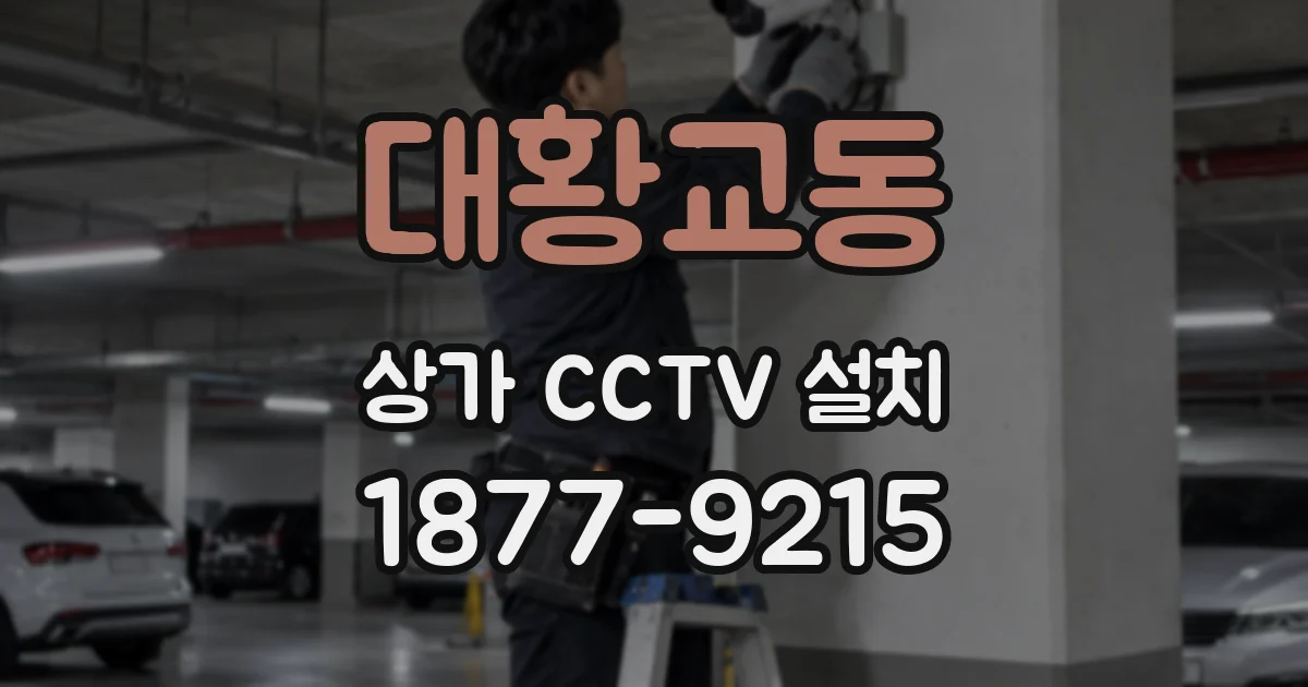대황교동 상가 CCTV 설치