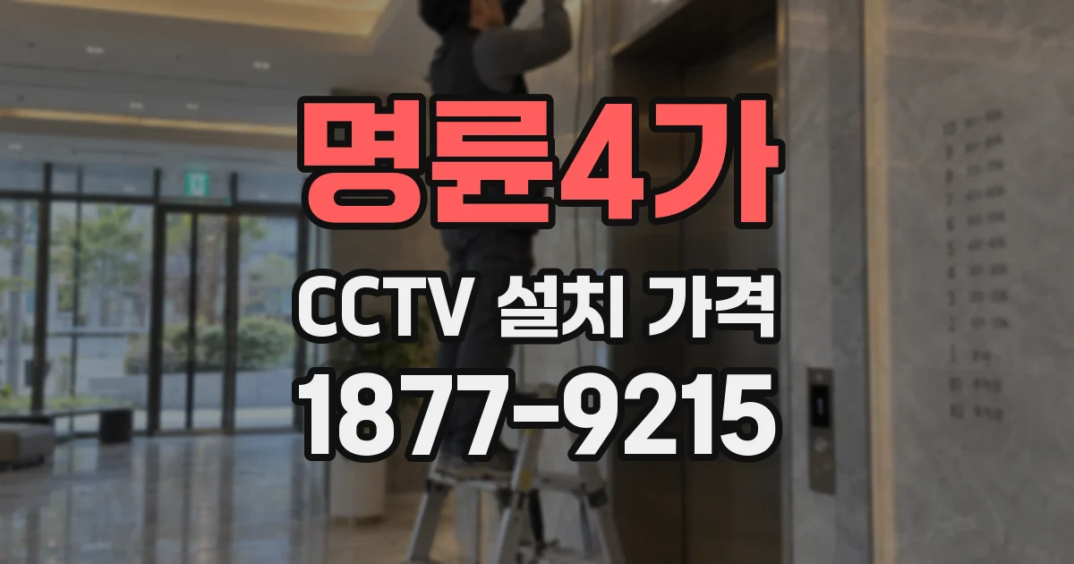 명륜4가 CCTV 설치 가격