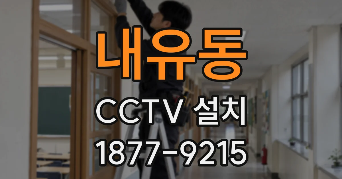 내유동 CCTV 설치