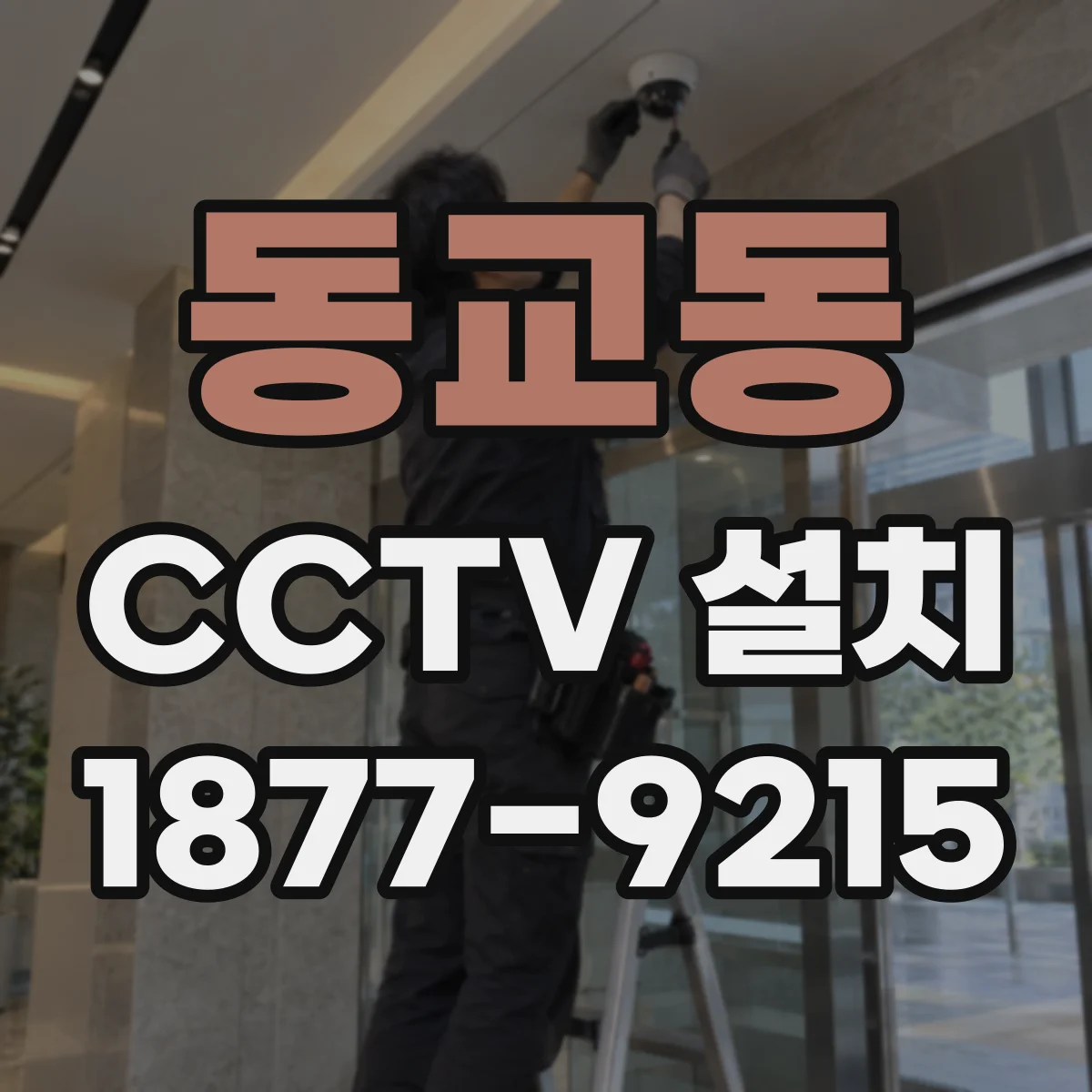 동교동 CCTV 설치