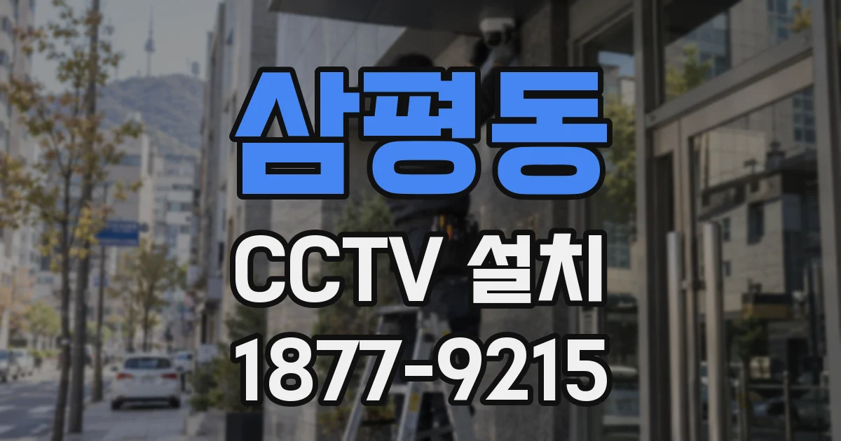 삼평동 CCTV 설치