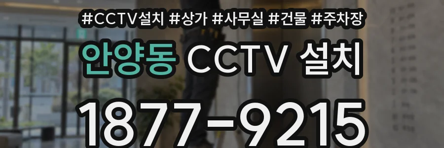 안양동 CCTV 설치
