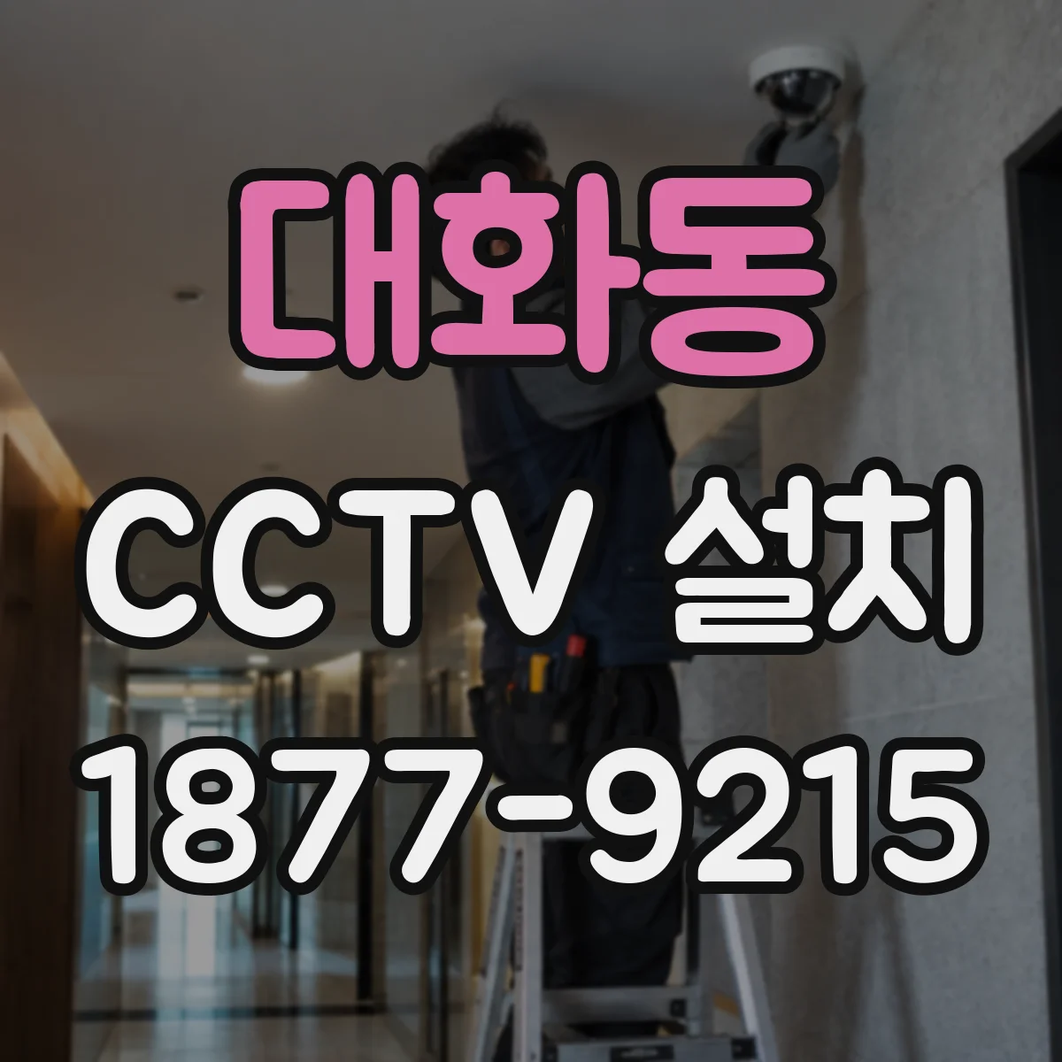 대화동 CCTV 설치