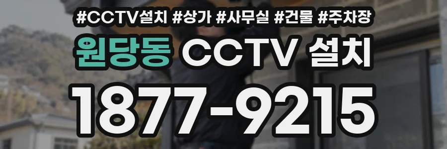 원당동 CCTV 설치