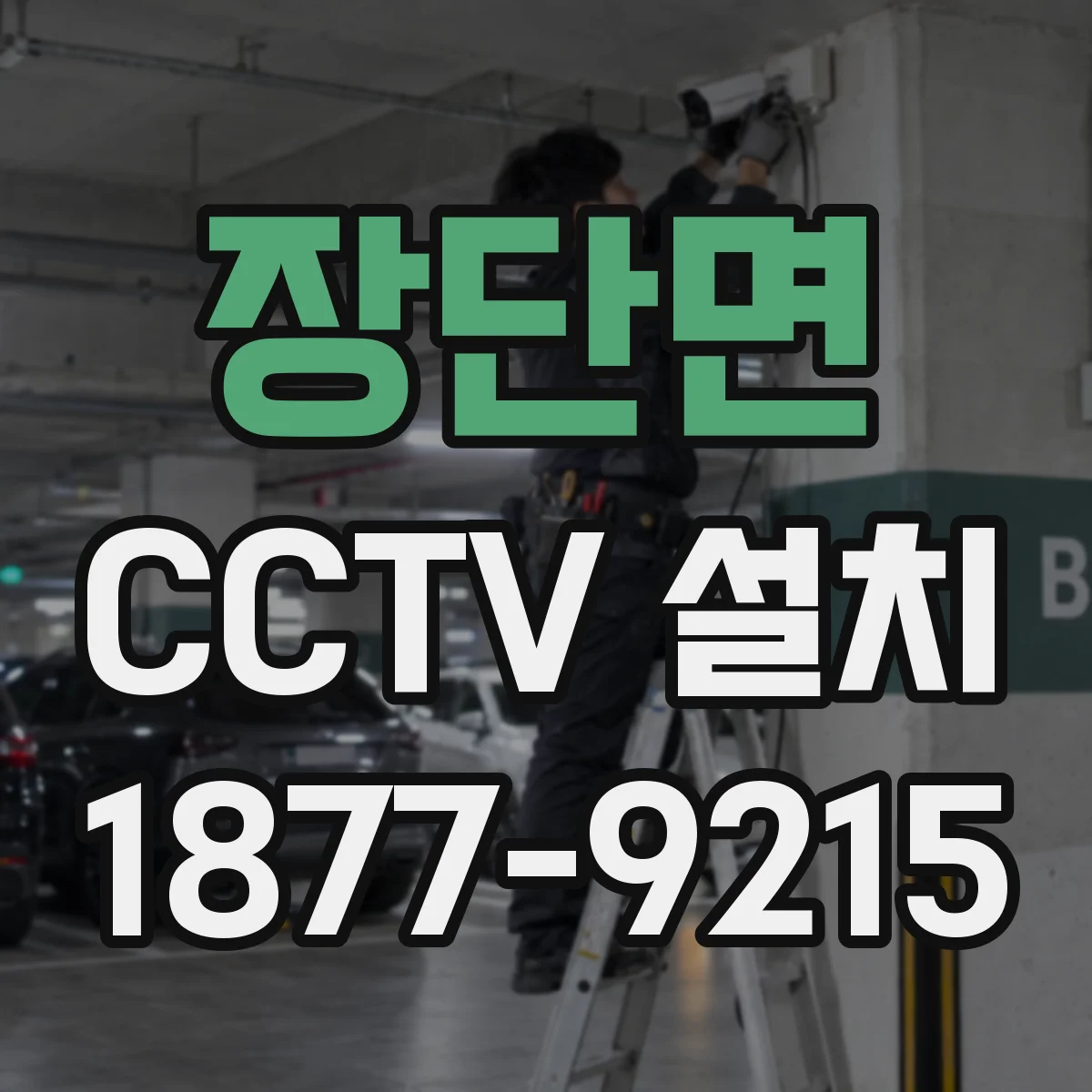 장단면 CCTV 설치