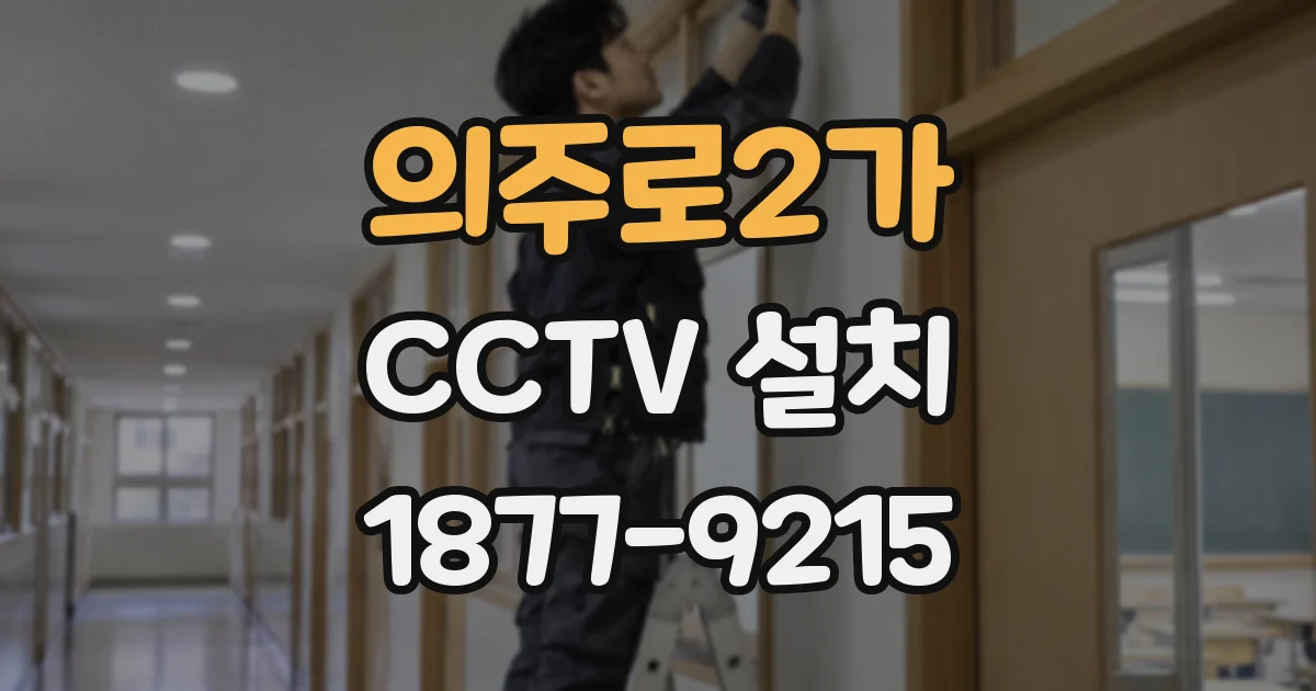 의주로2가 CCTV 설치