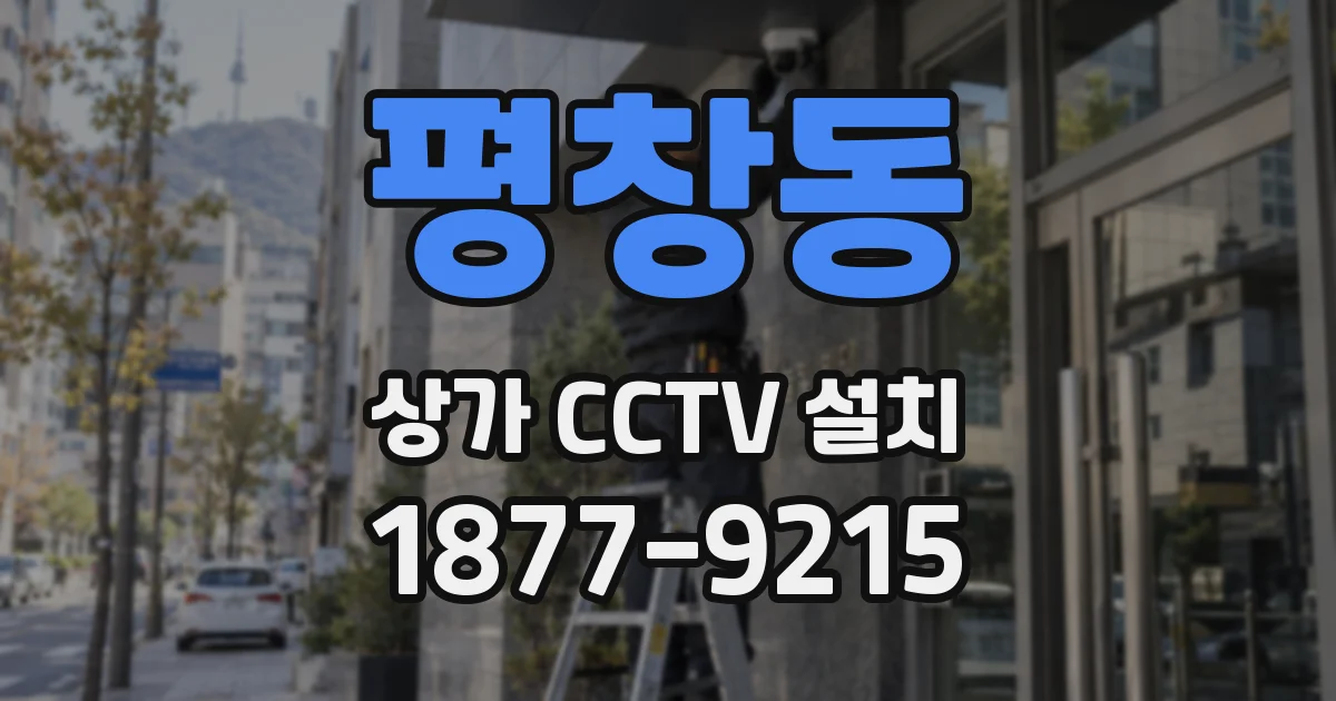 평창동 상가 CCTV 설치