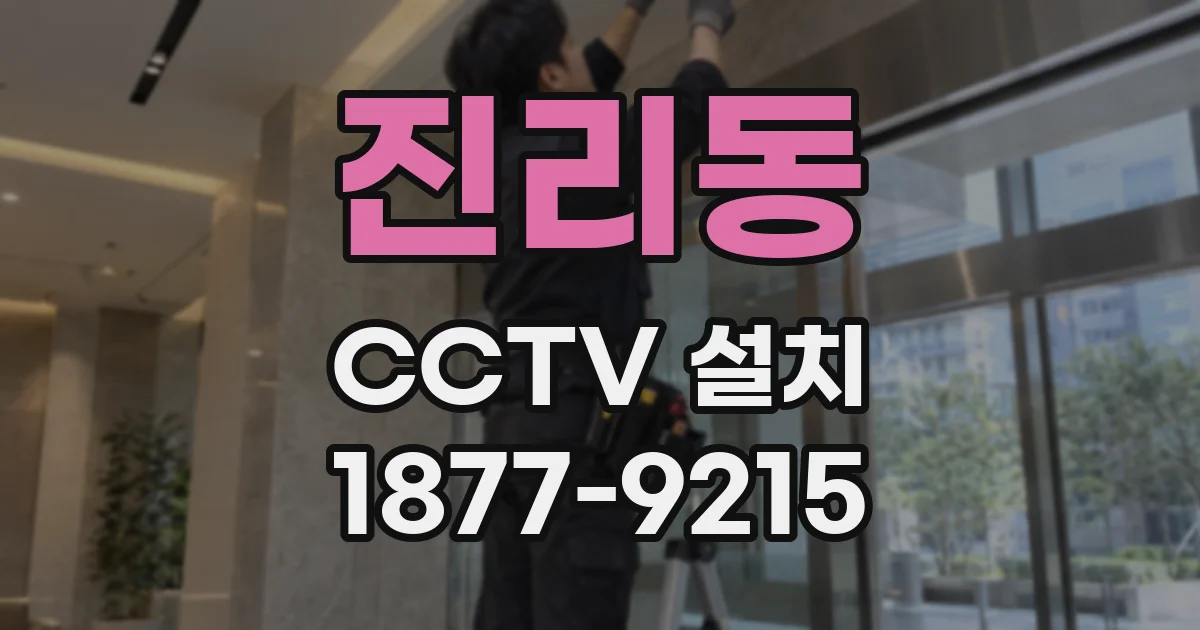 진리동 CCTV 설치