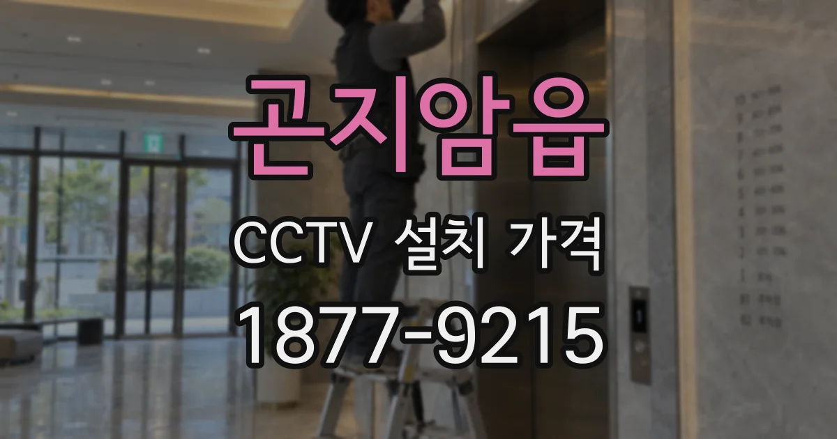 곤지암읍 CCTV 설치 가격