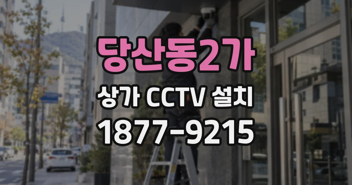 당산동2가 상가 CCTV 설치