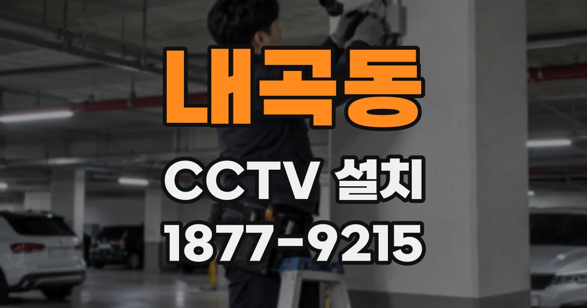 내곡동 CCTV 설치