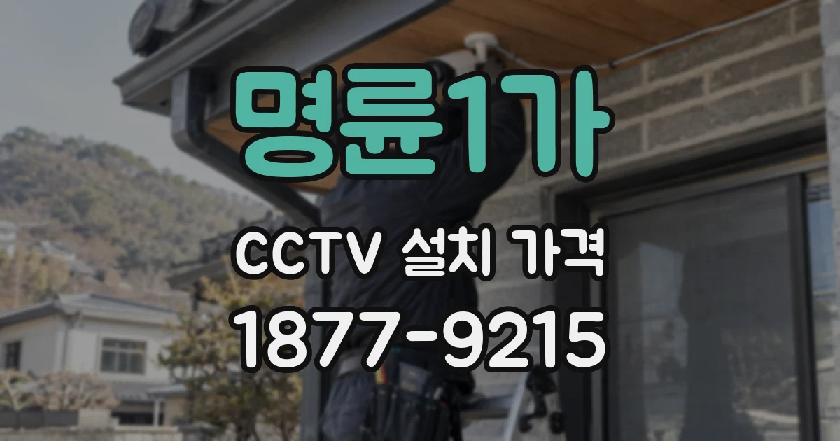 명륜1가 CCTV 설치 가격