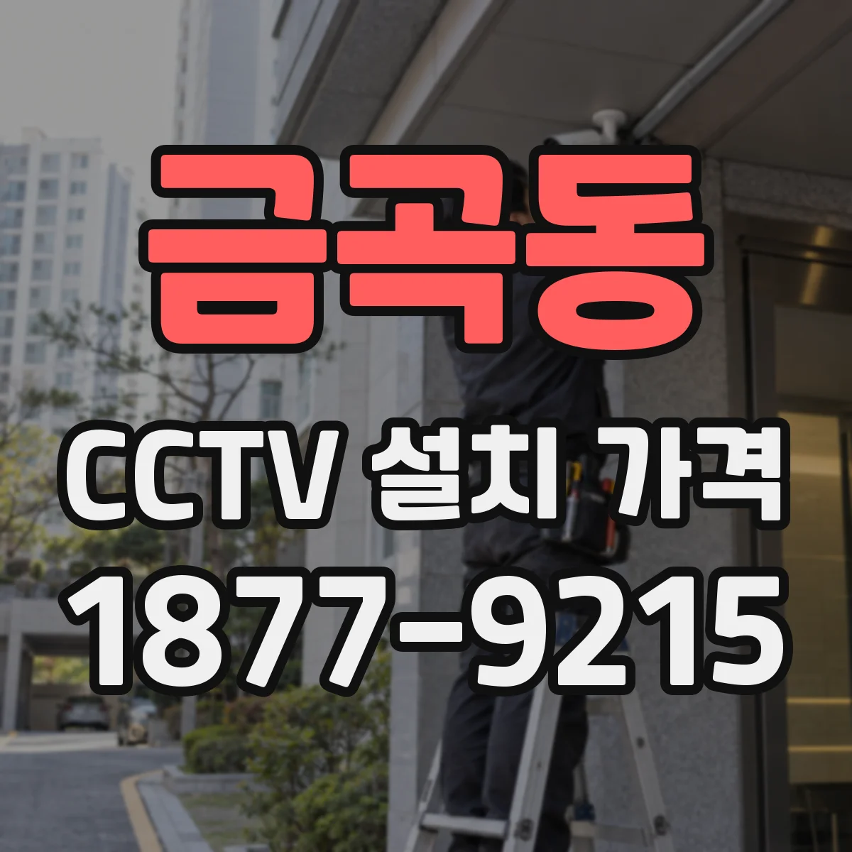 금곡동 CCTV 설치 가격