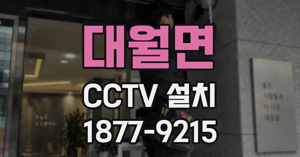 대월면 CCTV 설치