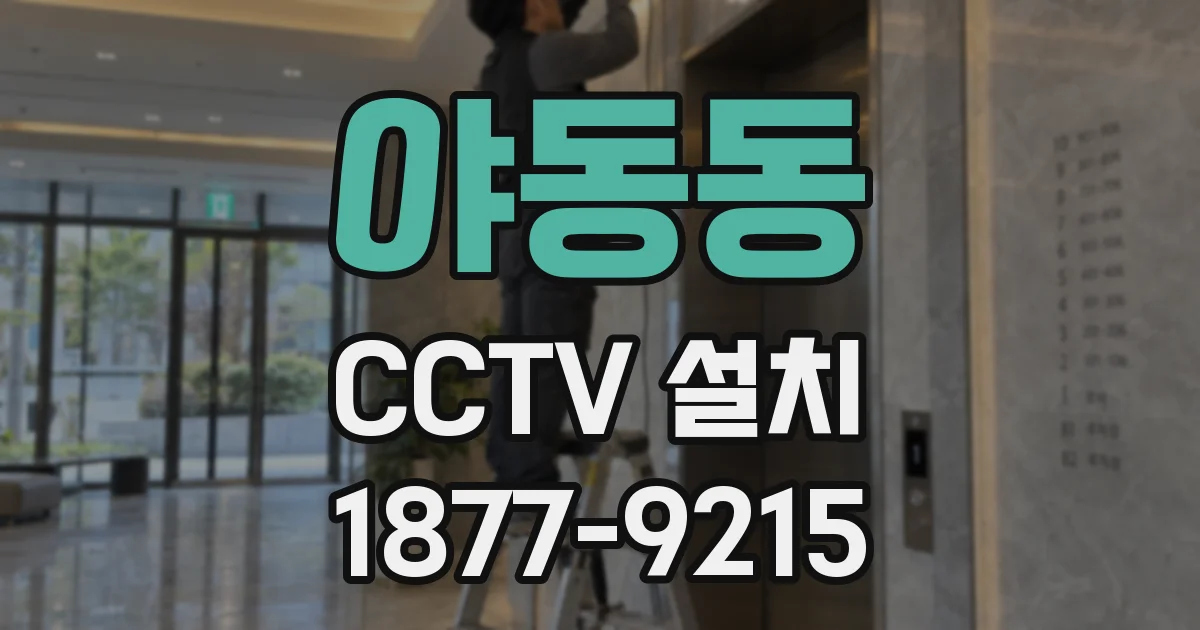 야동동 CCTV 설치
