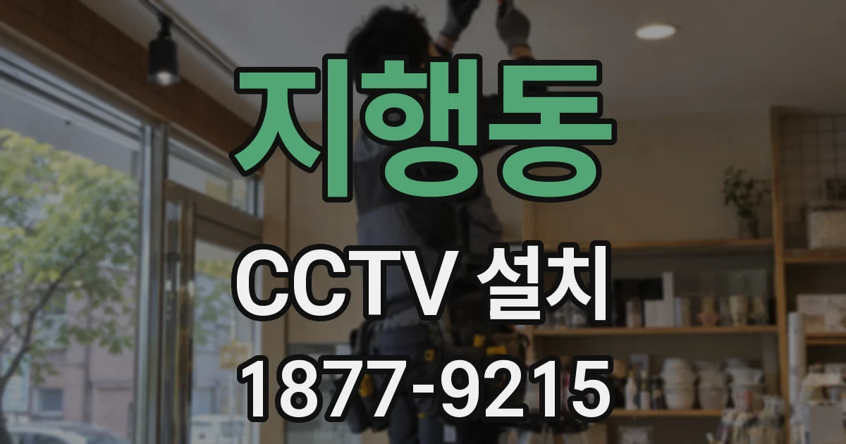 지행동 CCTV 설치