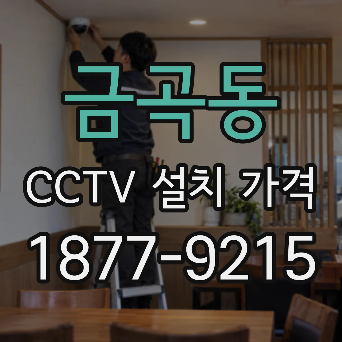 금곡동 CCTV 설치 가격