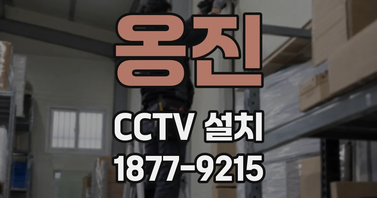 옹진 CCTV 설치