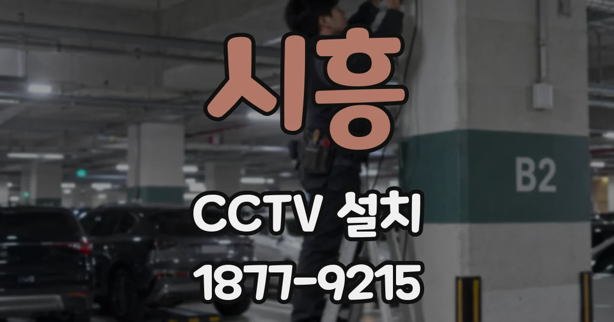 시흥 CCTV 설치