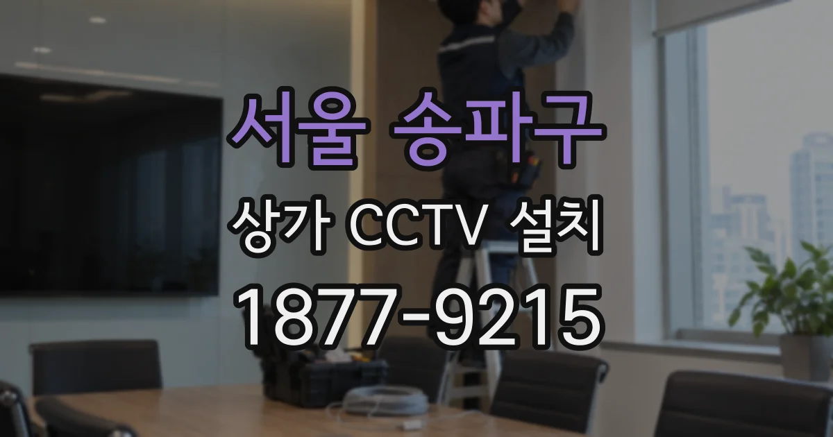서울 송파구 상가 CCTV 설치