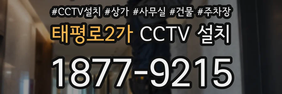 태평로2가 CCTV 설치