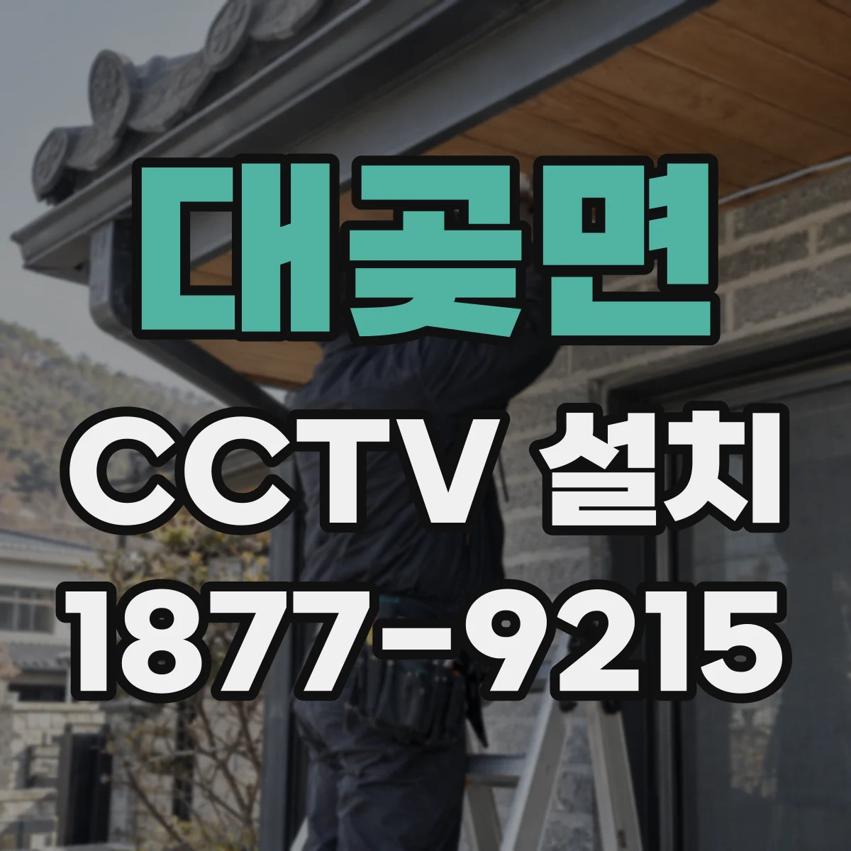 대곶면 CCTV 설치